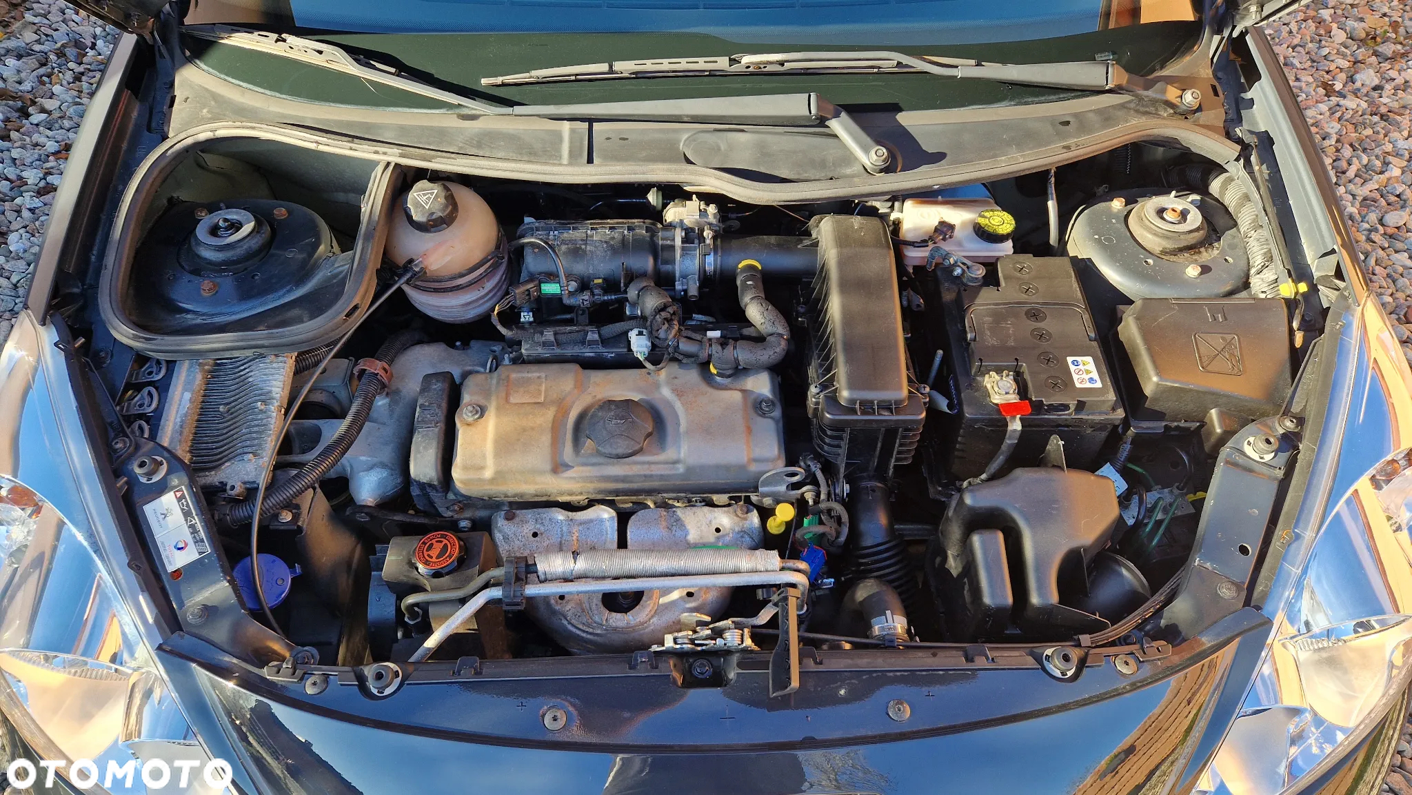 Peugeot 206 plus - 40