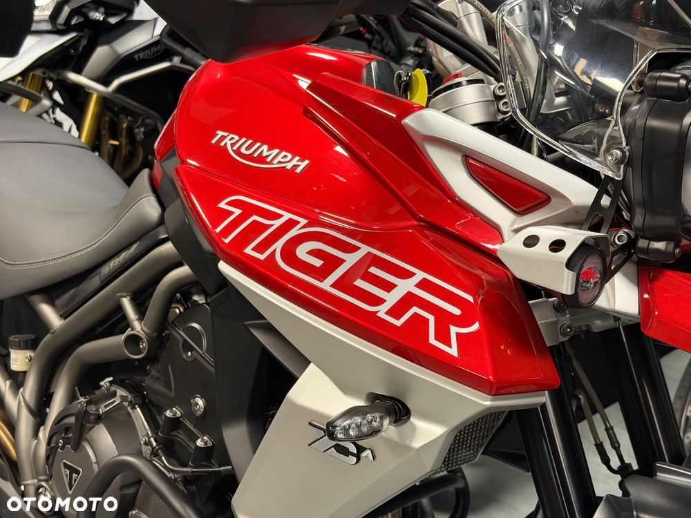 Triumph Tiger - 19