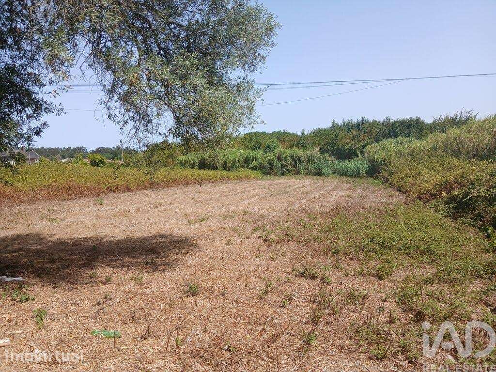 Terreno em Ouca - Grande imagem: 4/4