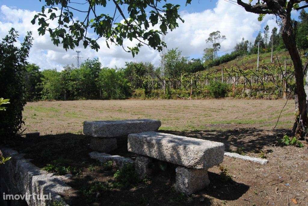 Magnifica quinta situada em Amarante - Grande imagem: 2/16