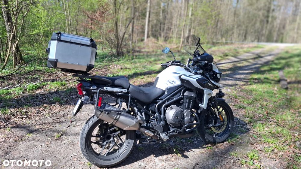 Triumph Tiger - 13