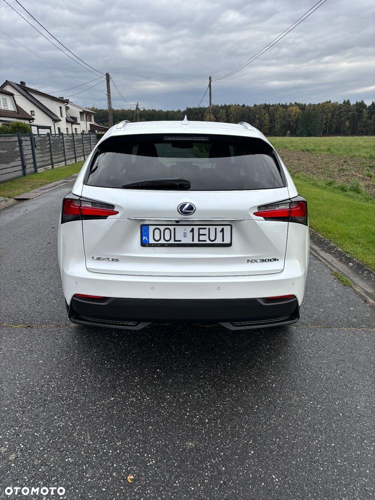 Lexus NX 300h Elite AWD - 14