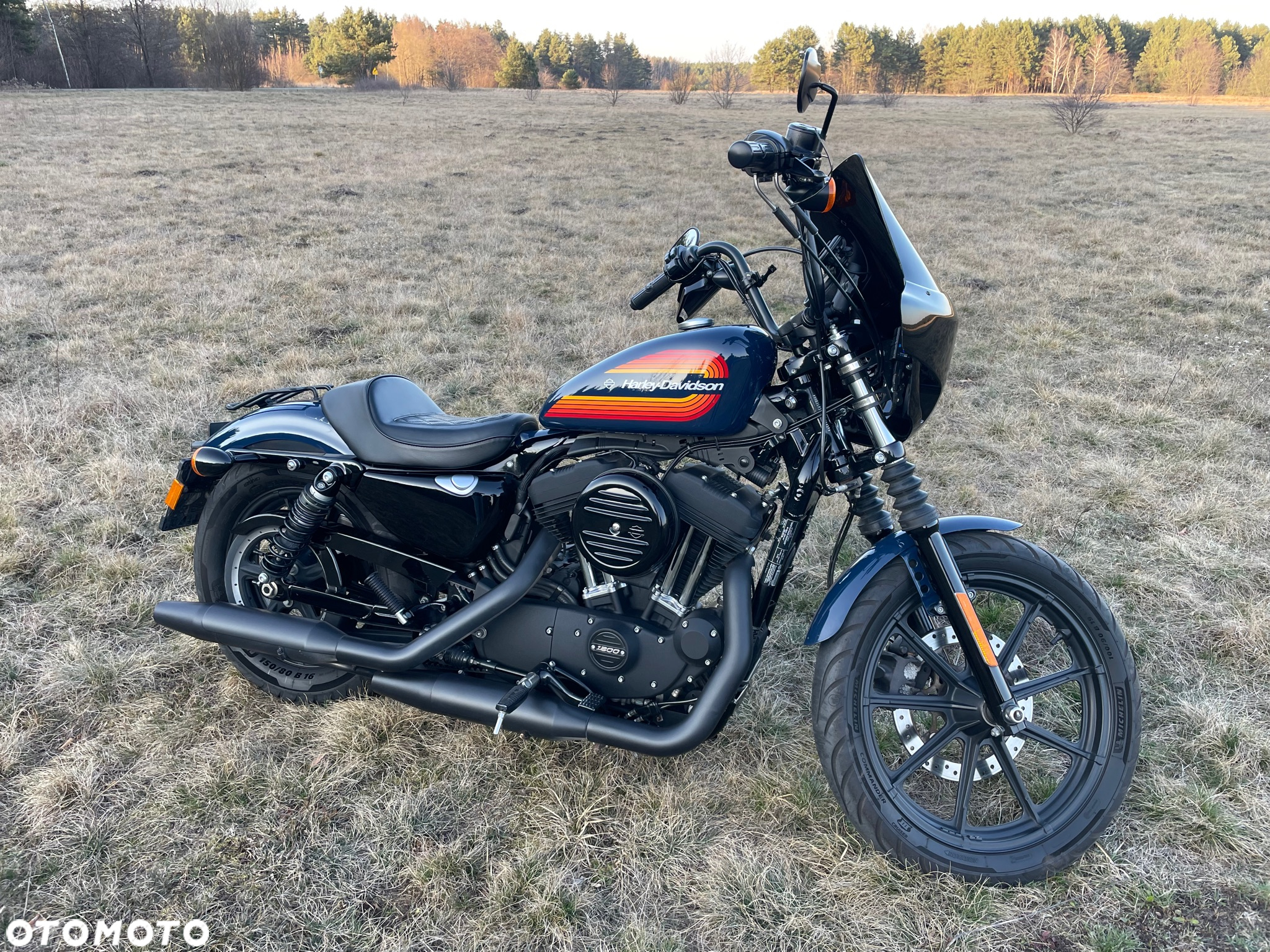 Harley-Davidson Sportster Iron 1200 - 3