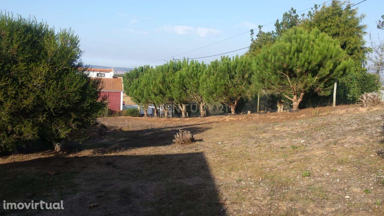 Terreno para construção c/ anexo - Lourinhã - Grande imagem: 5/10
