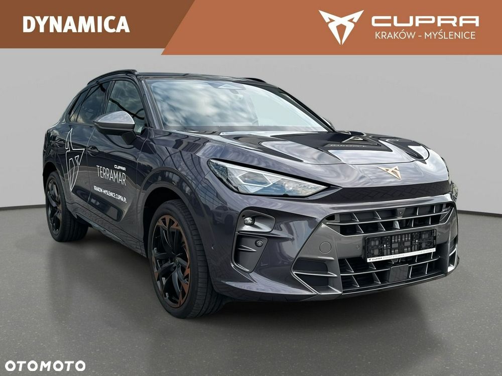 Cupra Terramar - 4