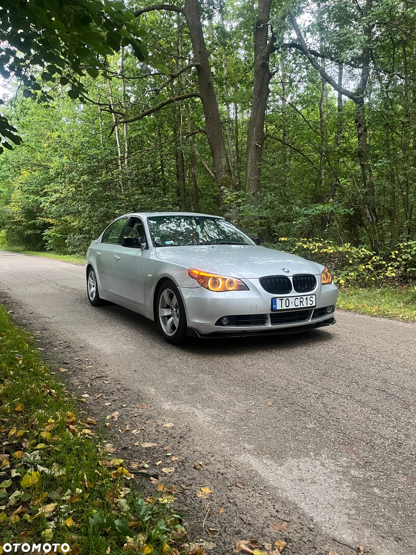 BMW Seria 5 - 3