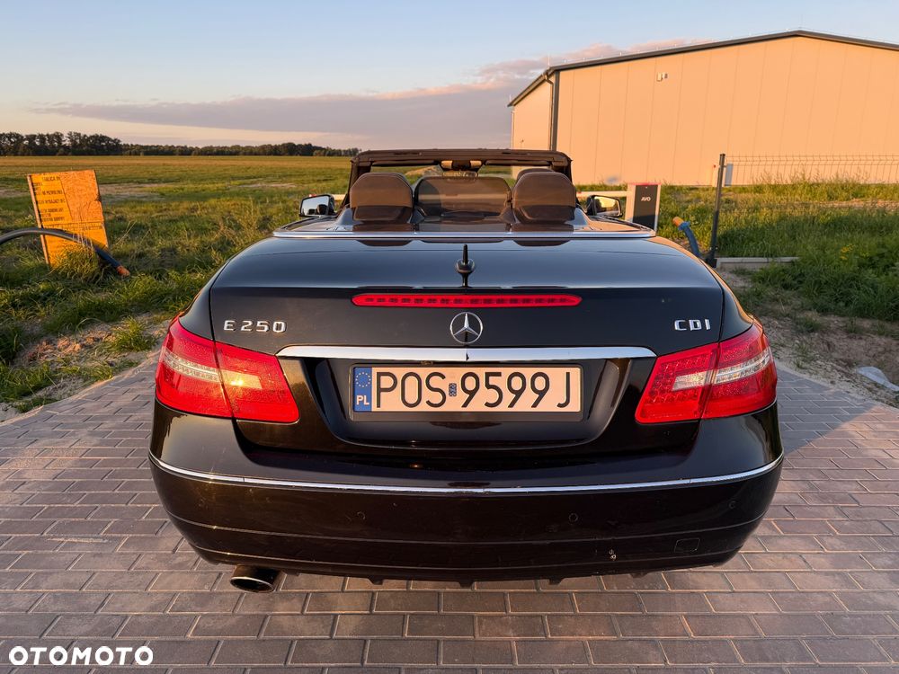 Mercedes-Benz Klasa E ver-250-cdi-blueeff - 11