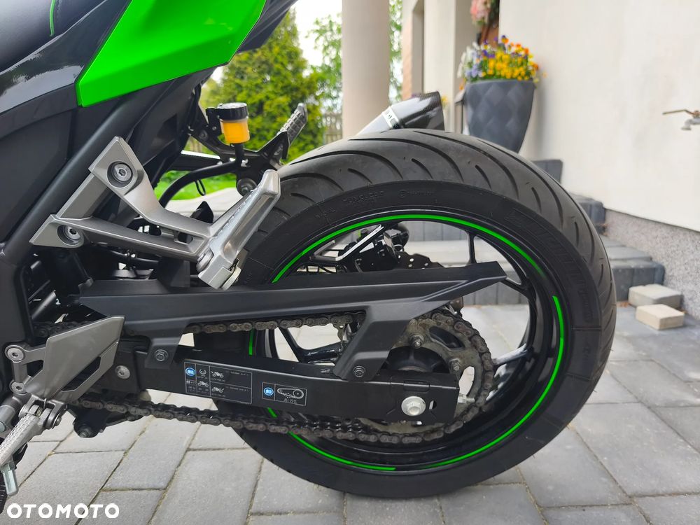 Kawasaki Ninja 300 ABS - 19