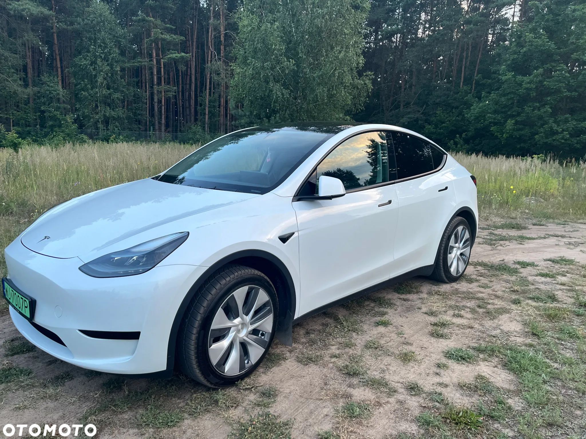Tesla Y Long Range RWD - 1