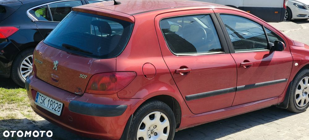 Peugeot 307 1.4 Presence - 9