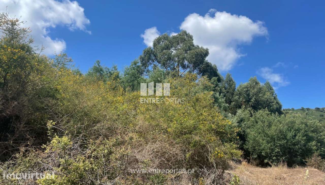 Venda de Terreno com 1425m², Barroselas, Viana do Castelo - Grande imagem: 5/24