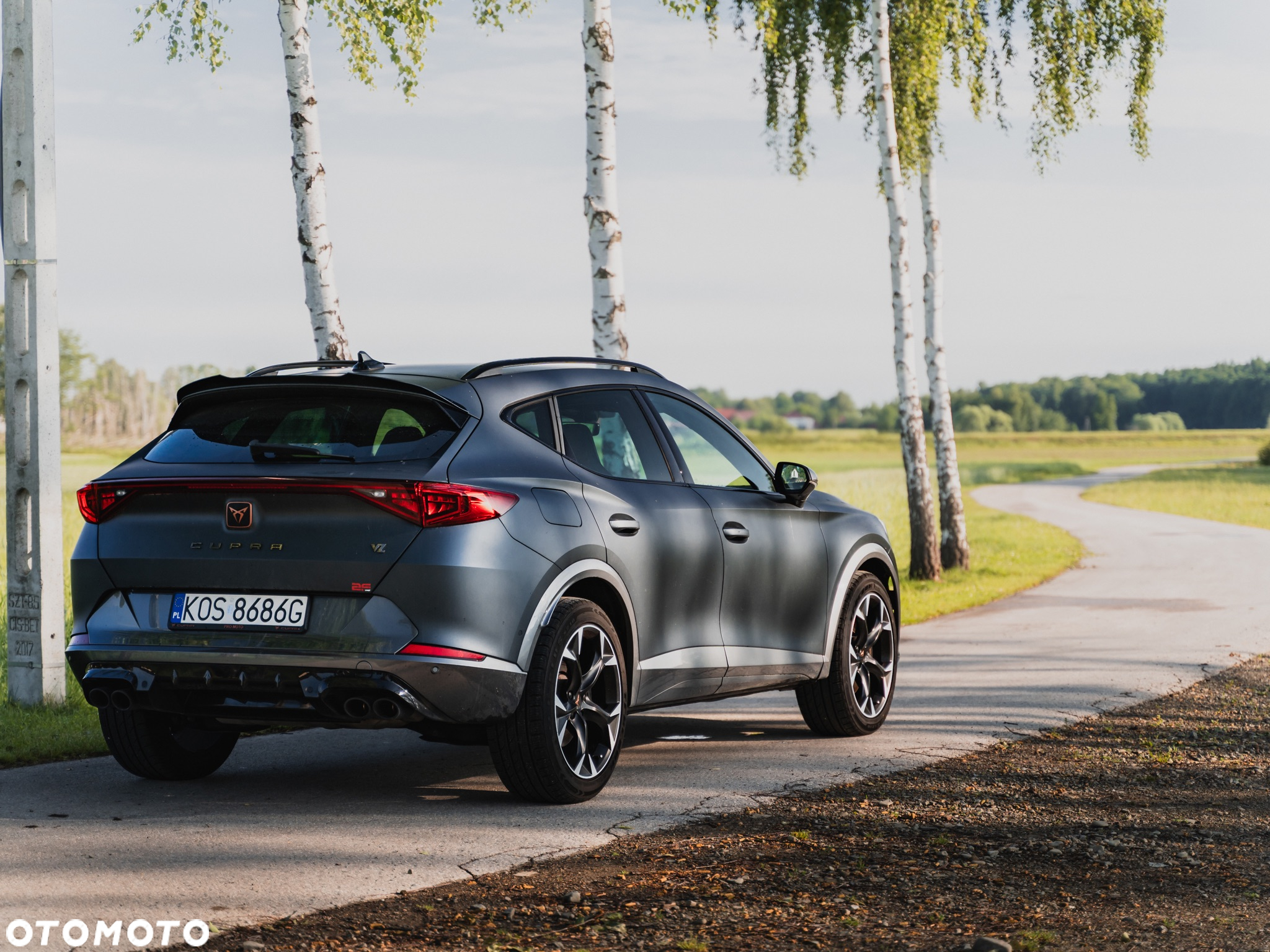 Cupra Formentor VZ 2.0 TSI 4Drive DSG - 4