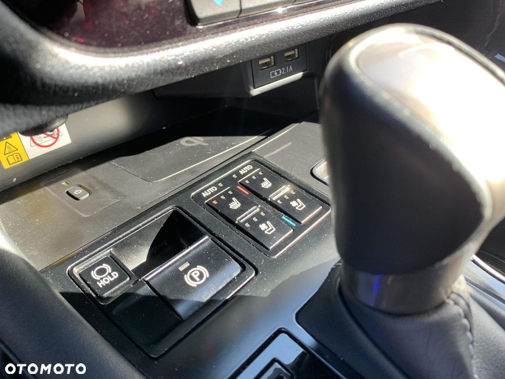 Lexus RX 450h F-Impression - 20