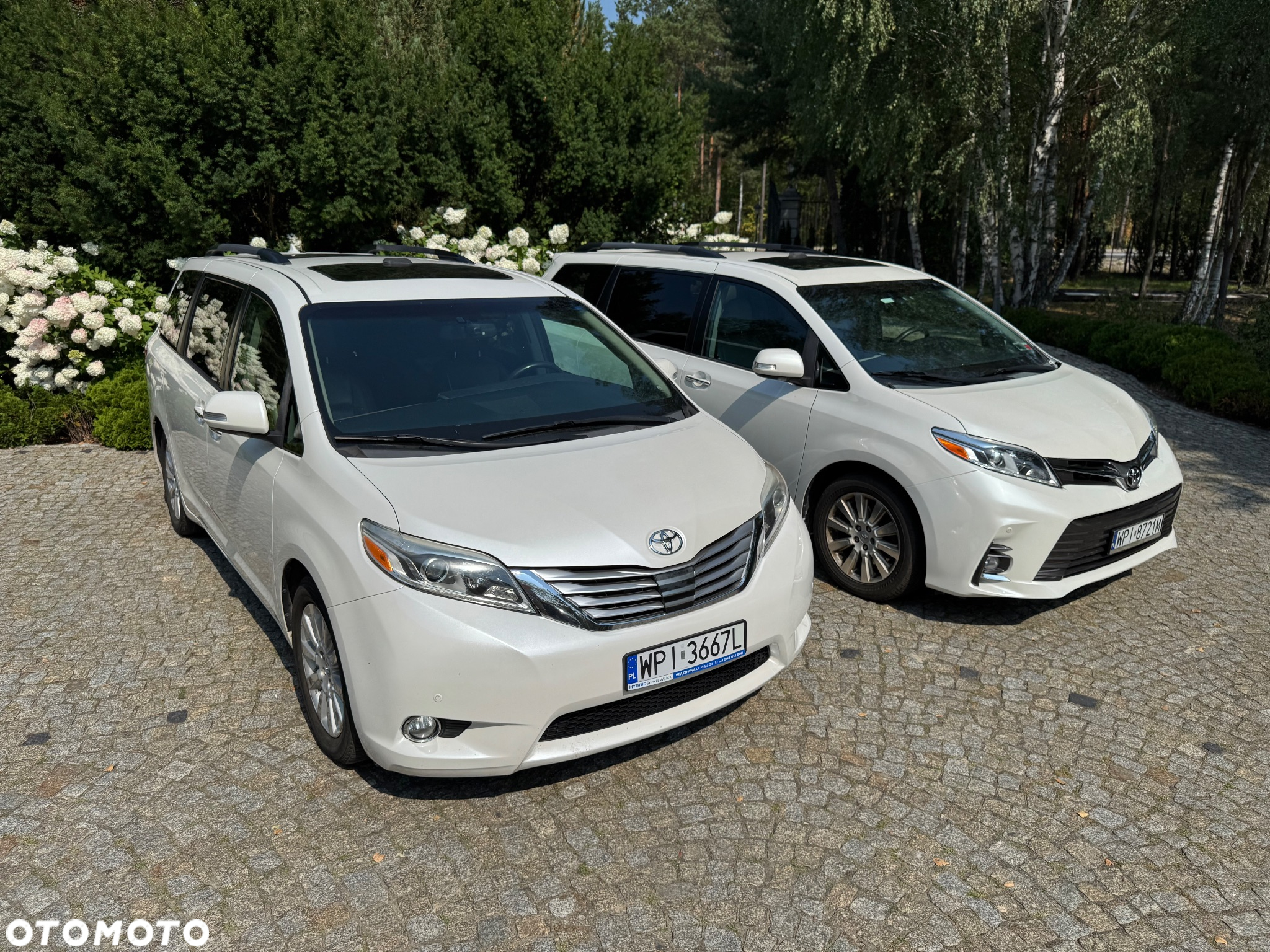 Toyota Sienna - 26