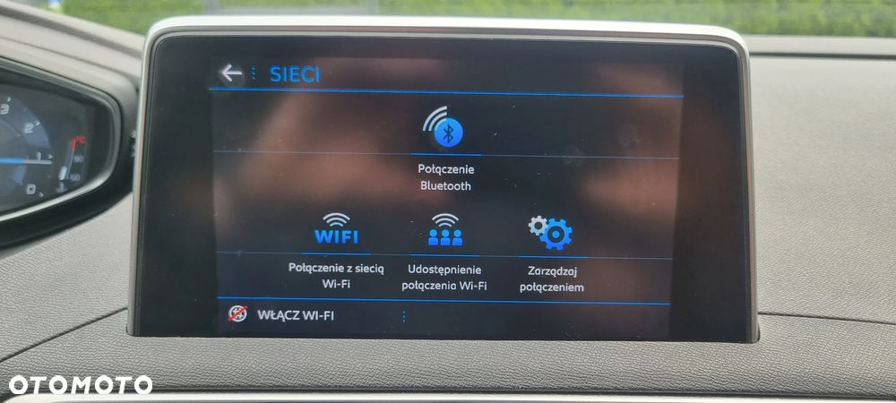 Peugeot 3008 - 13