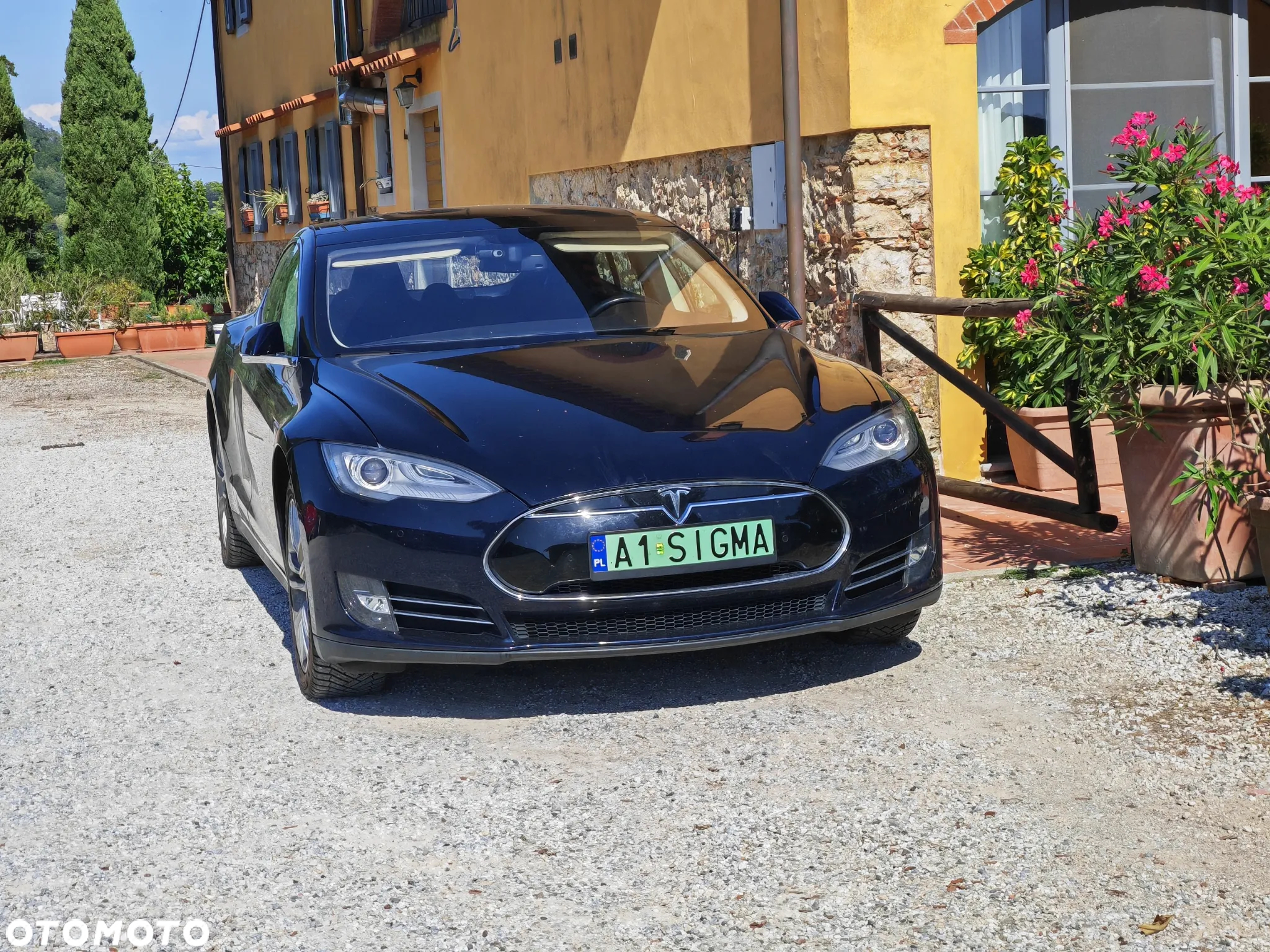 Tesla Model S Performance - 2