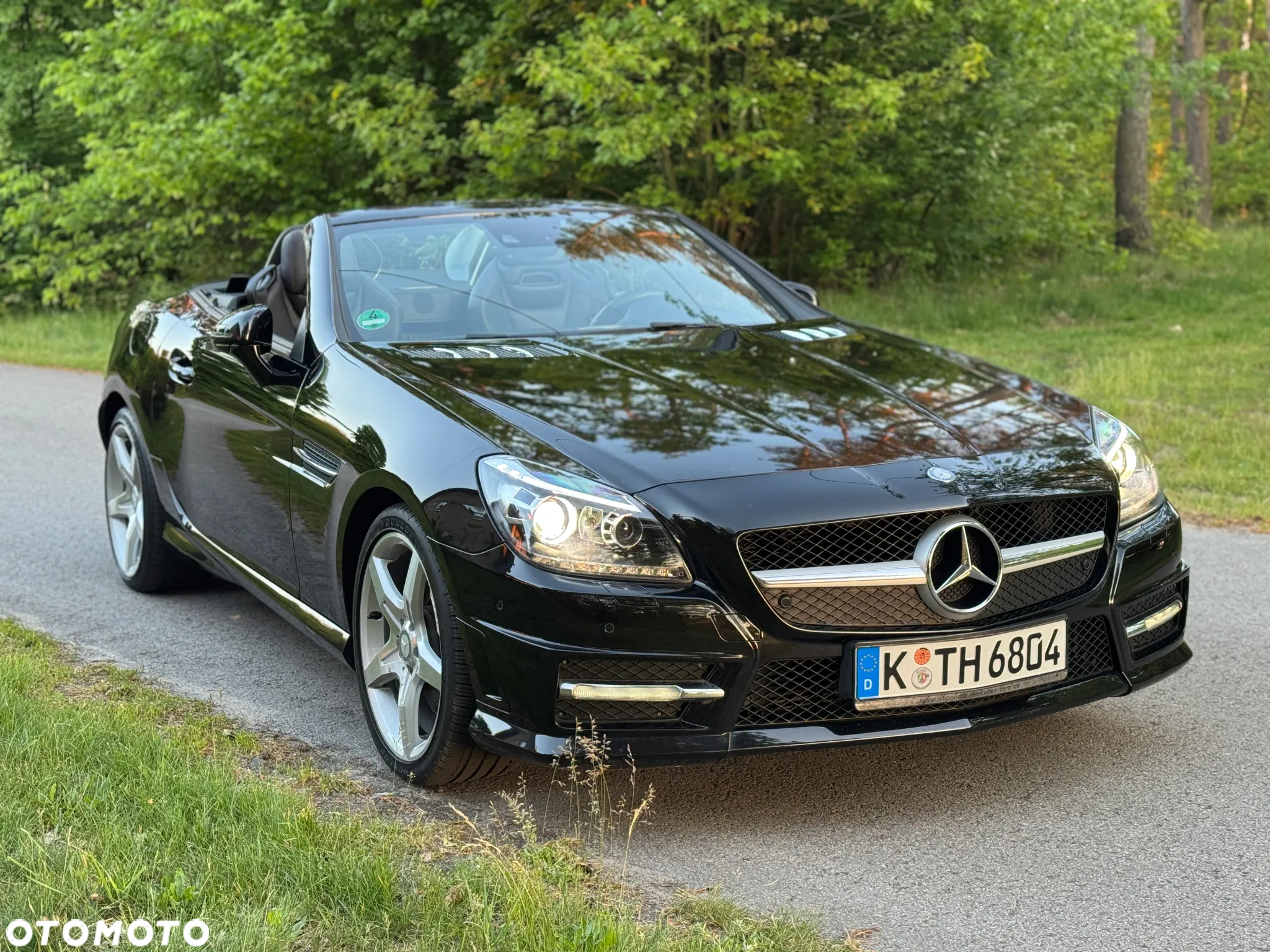 Mercedes-Benz SLK 200 BlueEFFICIENCY Edition 1 - 12