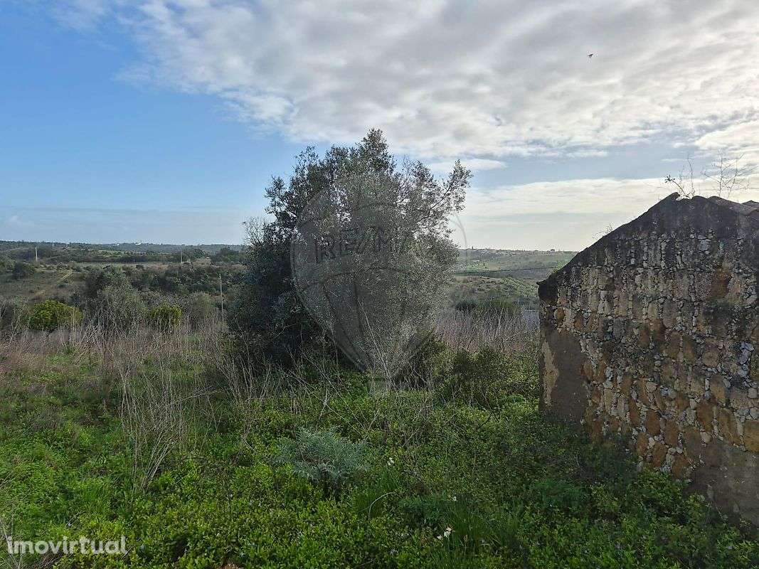 Moradia T1 para venda - Grande imagem: 3/4