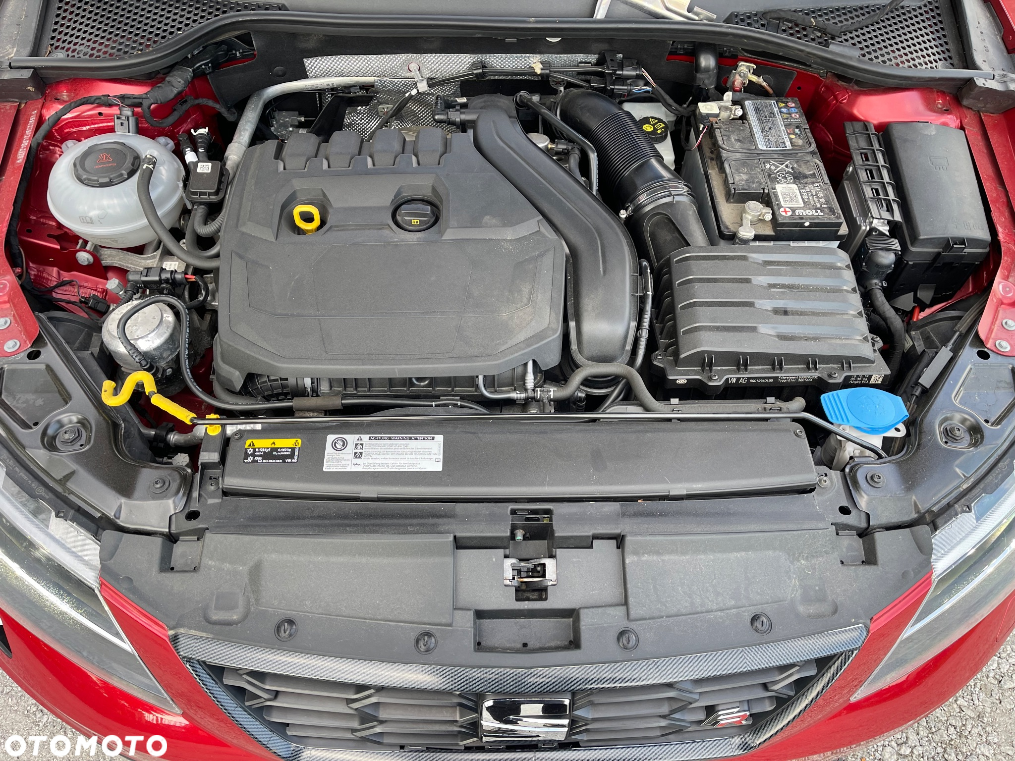 Seat Leon 1.5 EcoTSI Evo FR Black S&S - 21