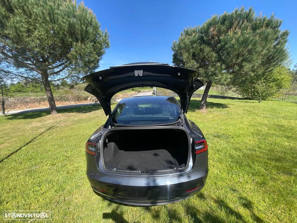 Tesla Model 3 Standard Range Plus RWD - 21
