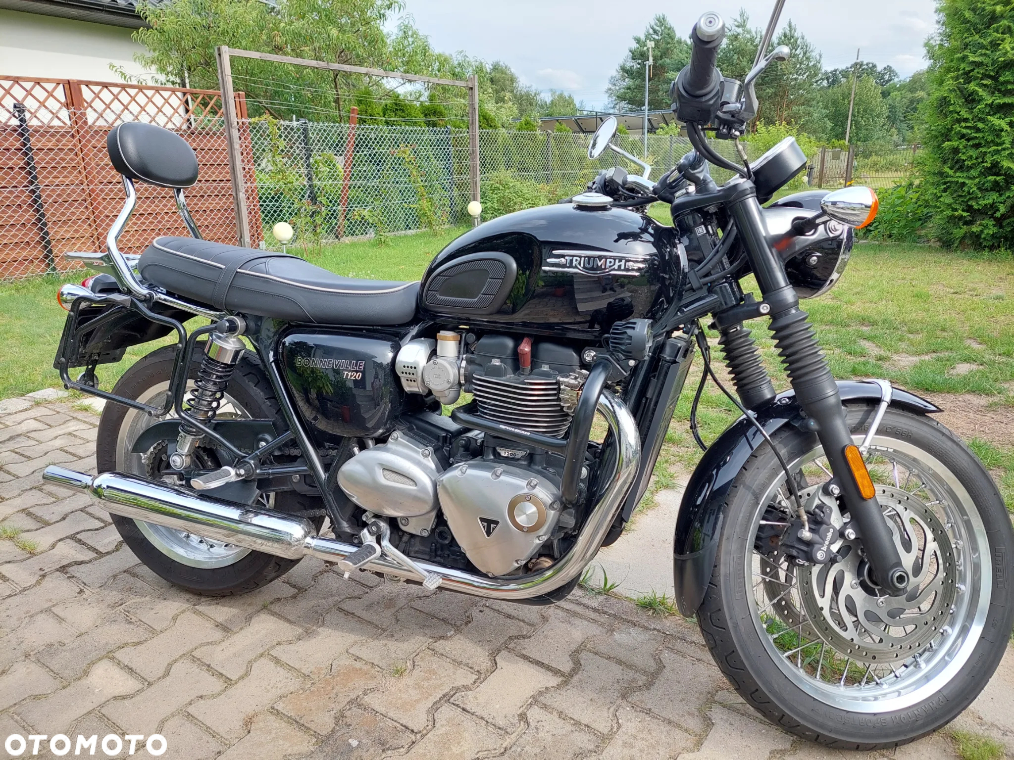 Triumph Bonneville - 6
