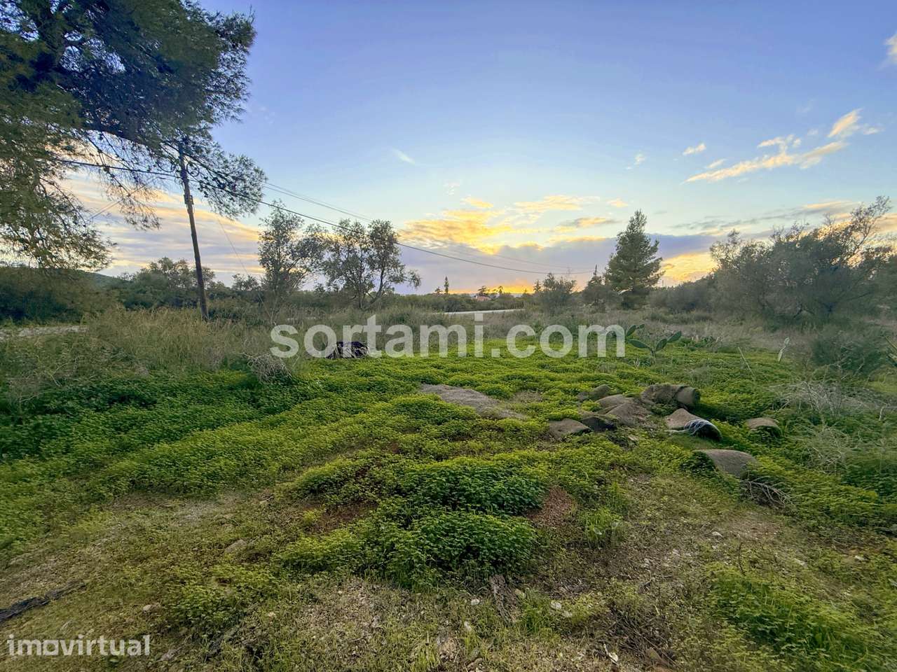 Terreno Rústico  Venda em Algoz e Tunes,Silves - Grande imagem: 4/7