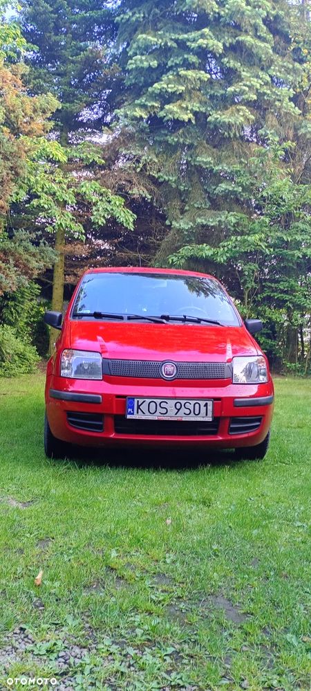 Fiat Panda - 1