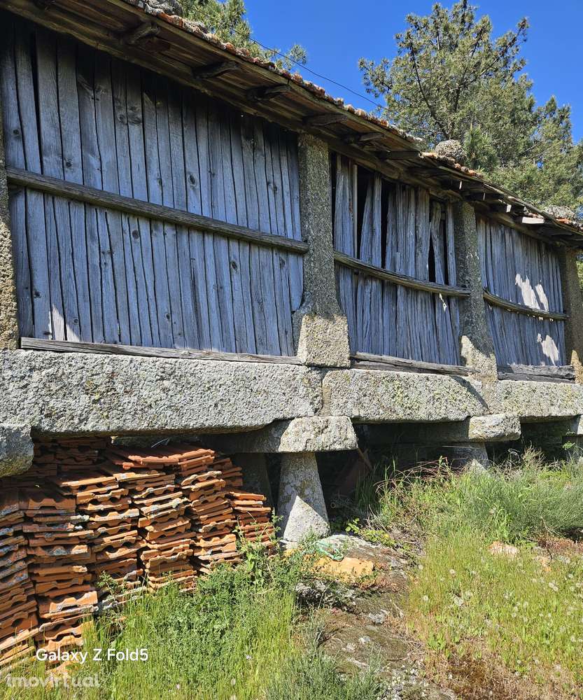 FABULOSO TERRENO COM 2000 M2 EM CINFÃES - Grande imagem: 2/37