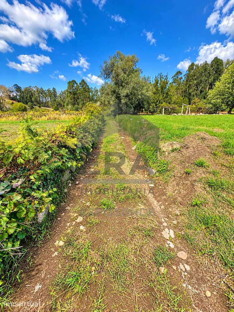 Terreno de cultivo em Gemeses, Esposende. - Grande imagem: 3/4