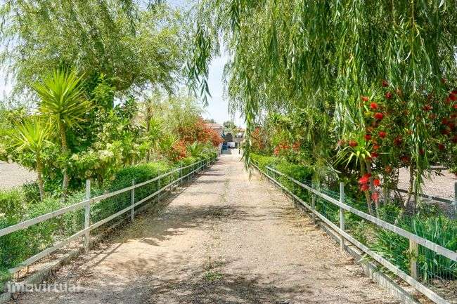 Quinta em Elvas - Oportunidade - Grande imagem: 3/31