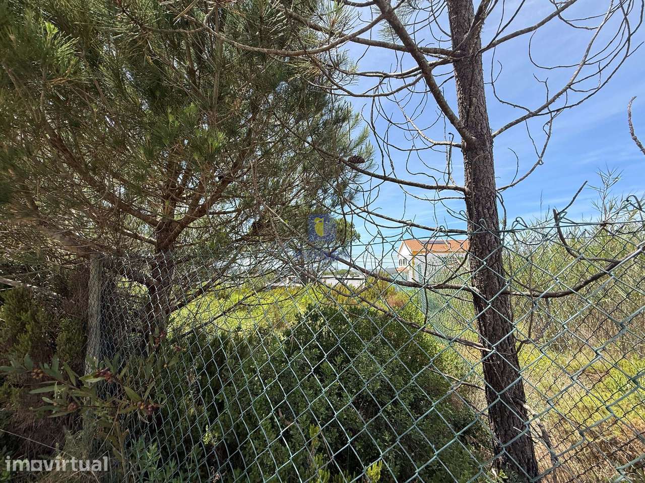 Lote de Terreno com Projeto para Moradia T3 com Piscina – Nadadouro - Grande imagem: 5/14