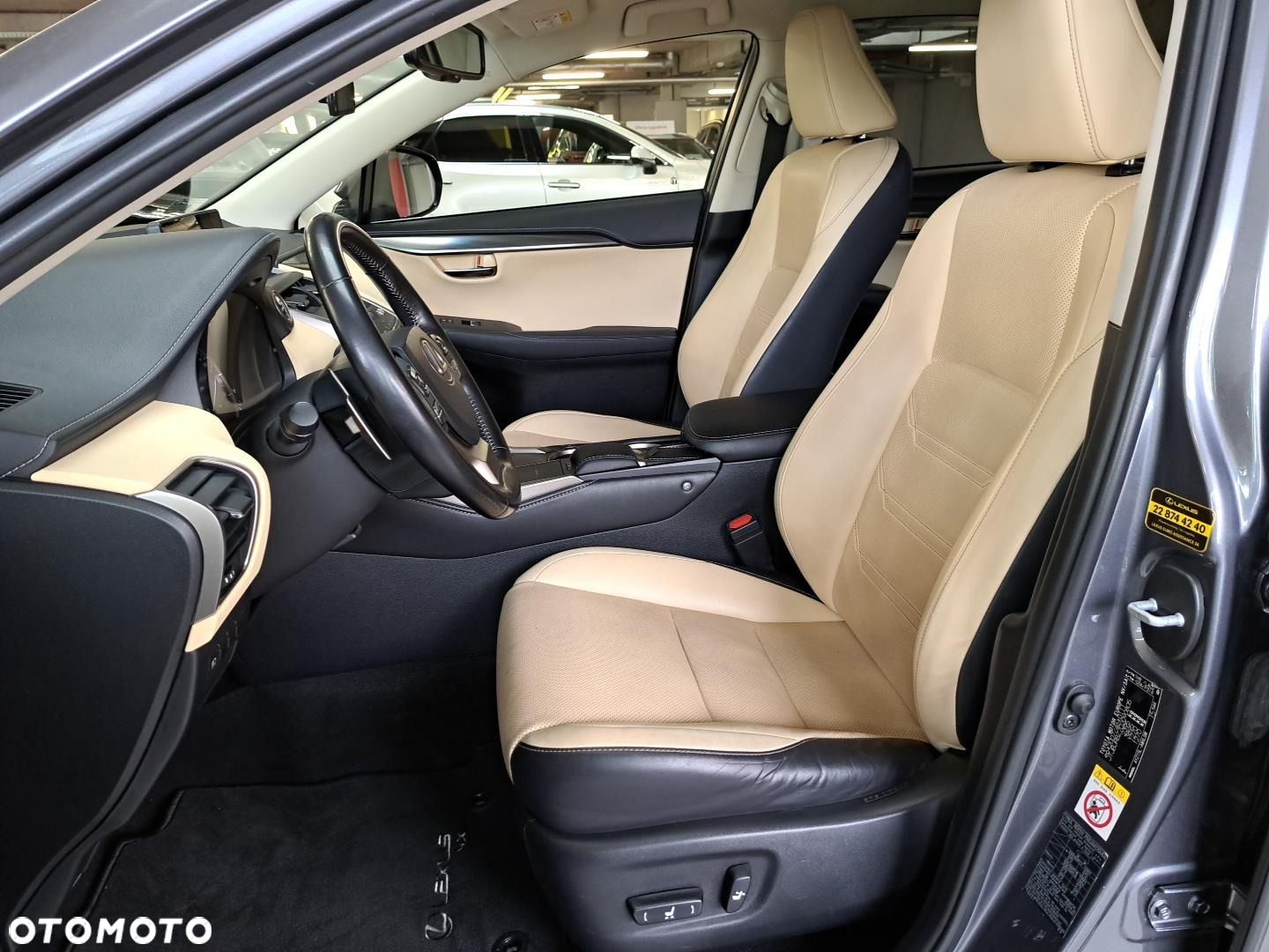 Lexus NX - 10