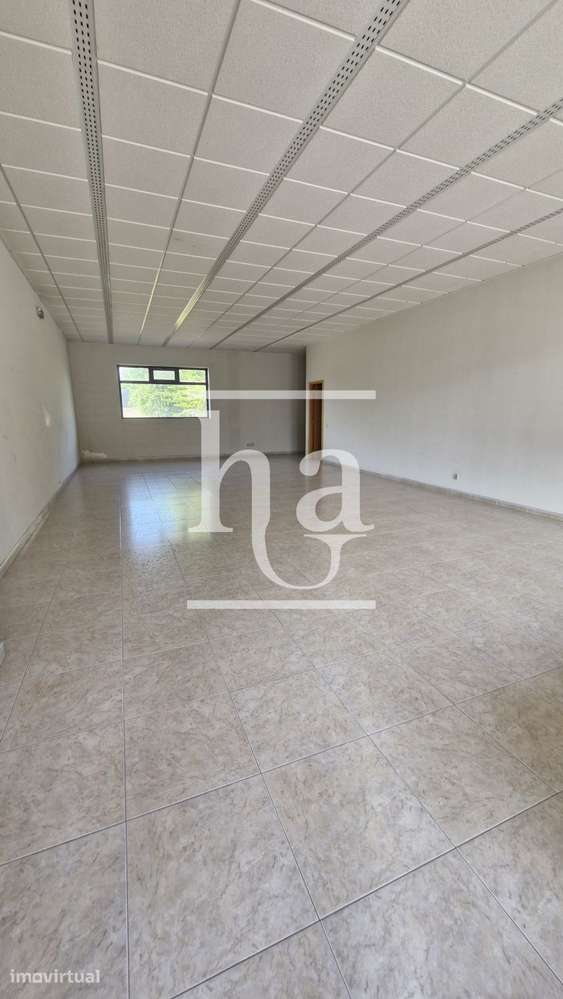 Loja Gondomar- Junto Hospital Fernando Pessoa - Grande imagem: 2/10