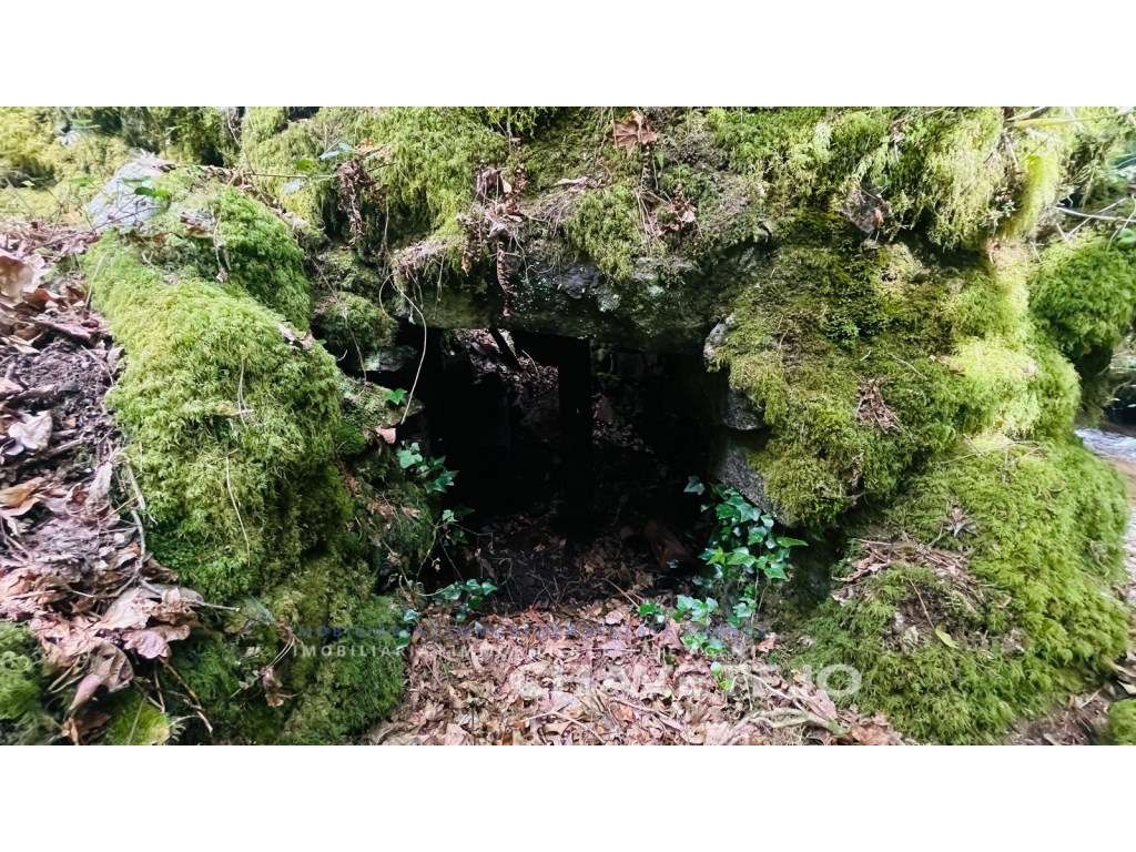 Ruina de Azenha à beira rio, suscetível para obras de conservação c... - Grande imagem: 4/25