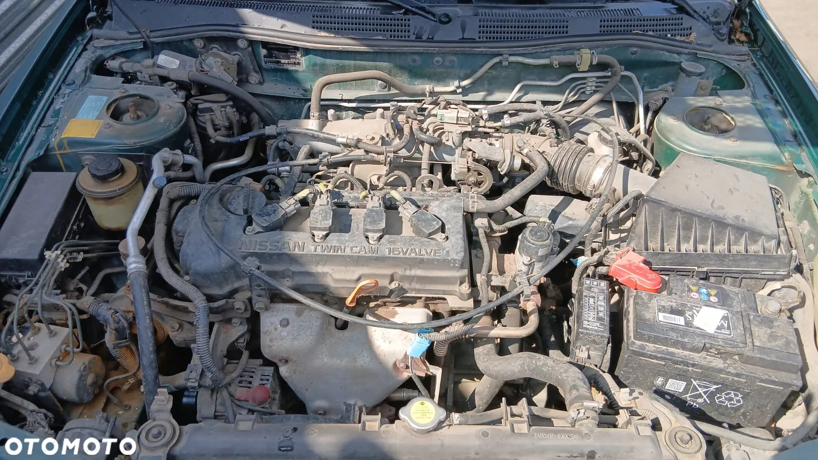Tylko Części Nissan Primera P11-144 FL 1.8 16V QG18 114KM 84kW sedan 99r–02r Lakier DV9 - 10