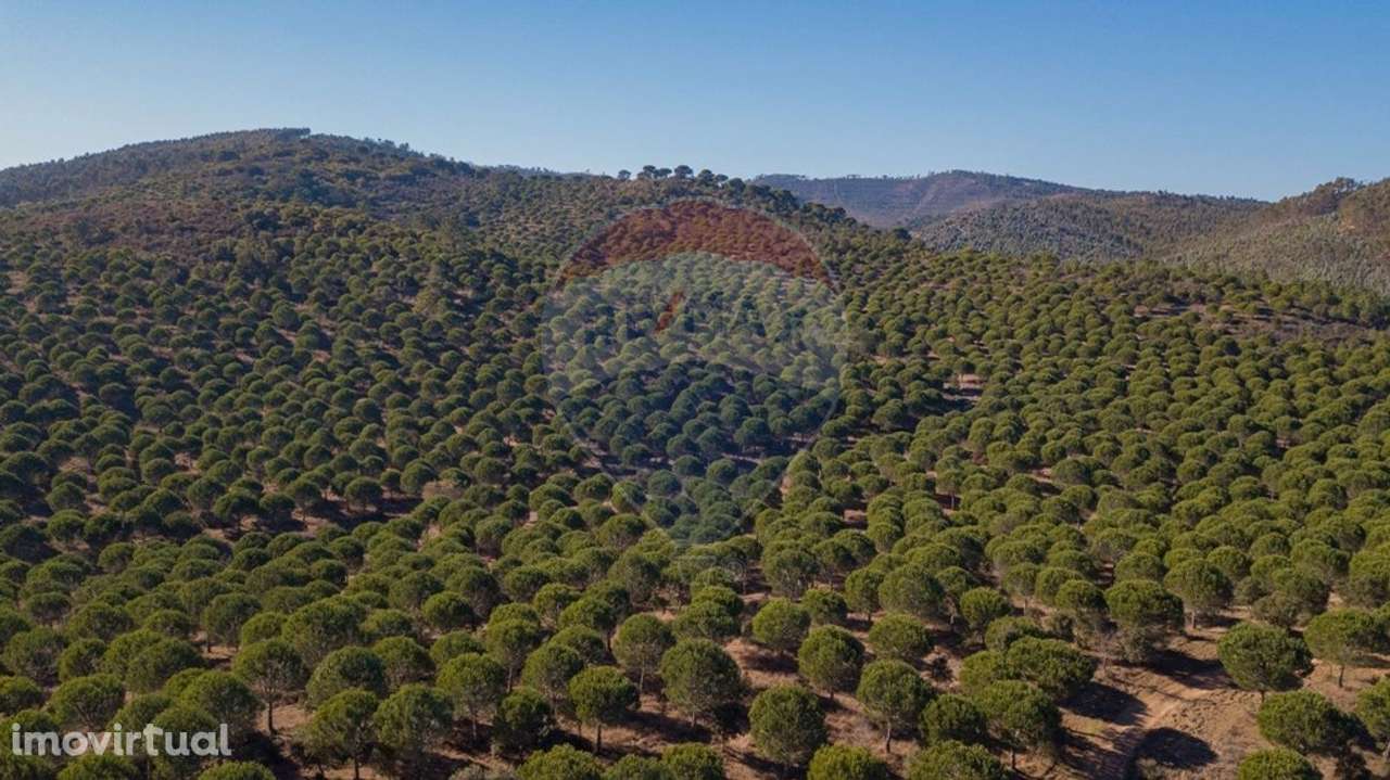 Quinta  para venda - Grande imagem: 4/19