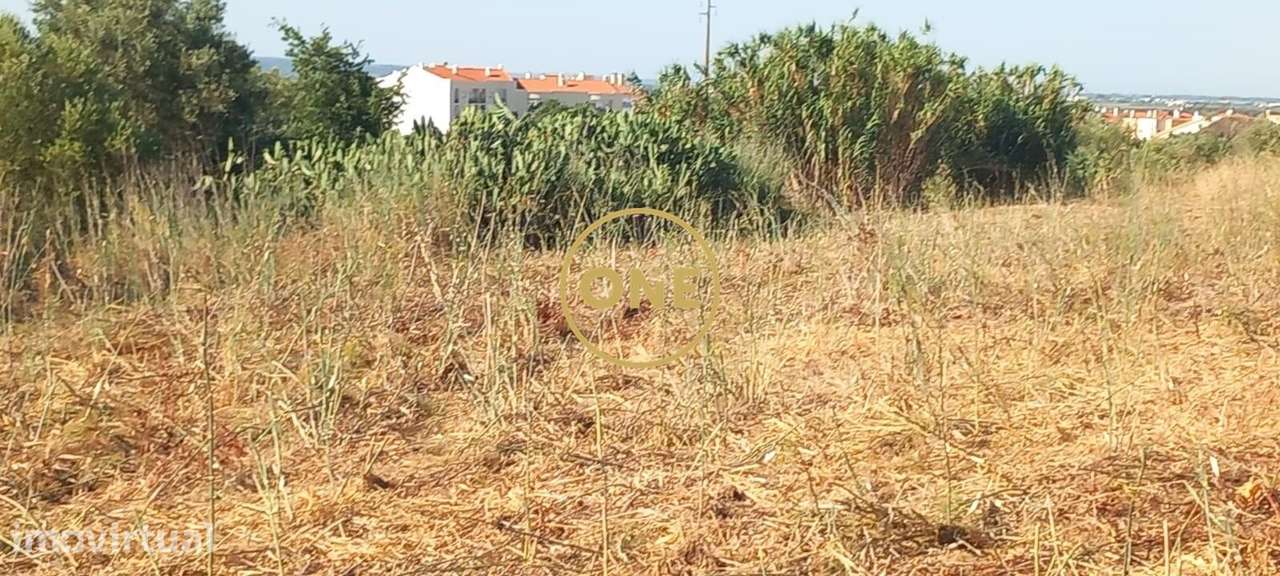 Terreno com 21.960 m2 e viabilidade construtiva | Vila Nova da Barquin - Grande imagem: 4/17