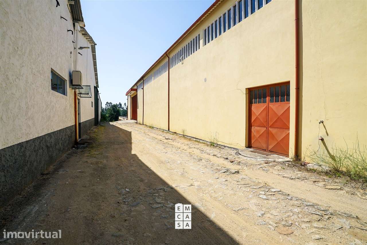 Armazém  Arrendamento em Nogueira do Cravo e Pindelo,Oliveira de Azemé - Grande imagem: 5/19