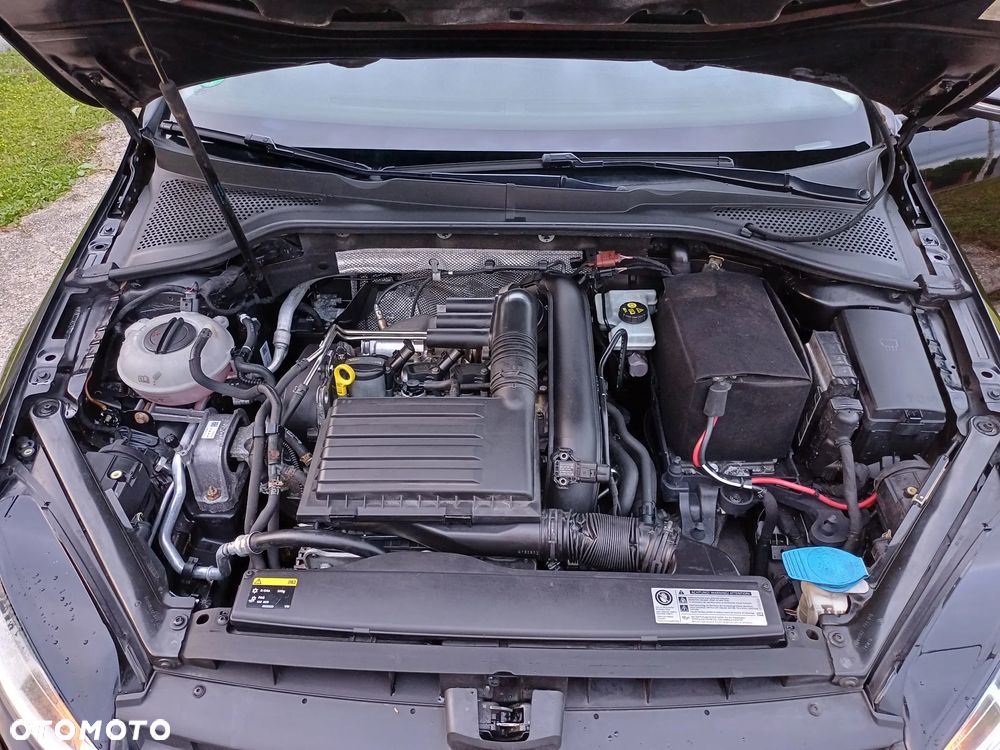 Volkswagen Golf - 39