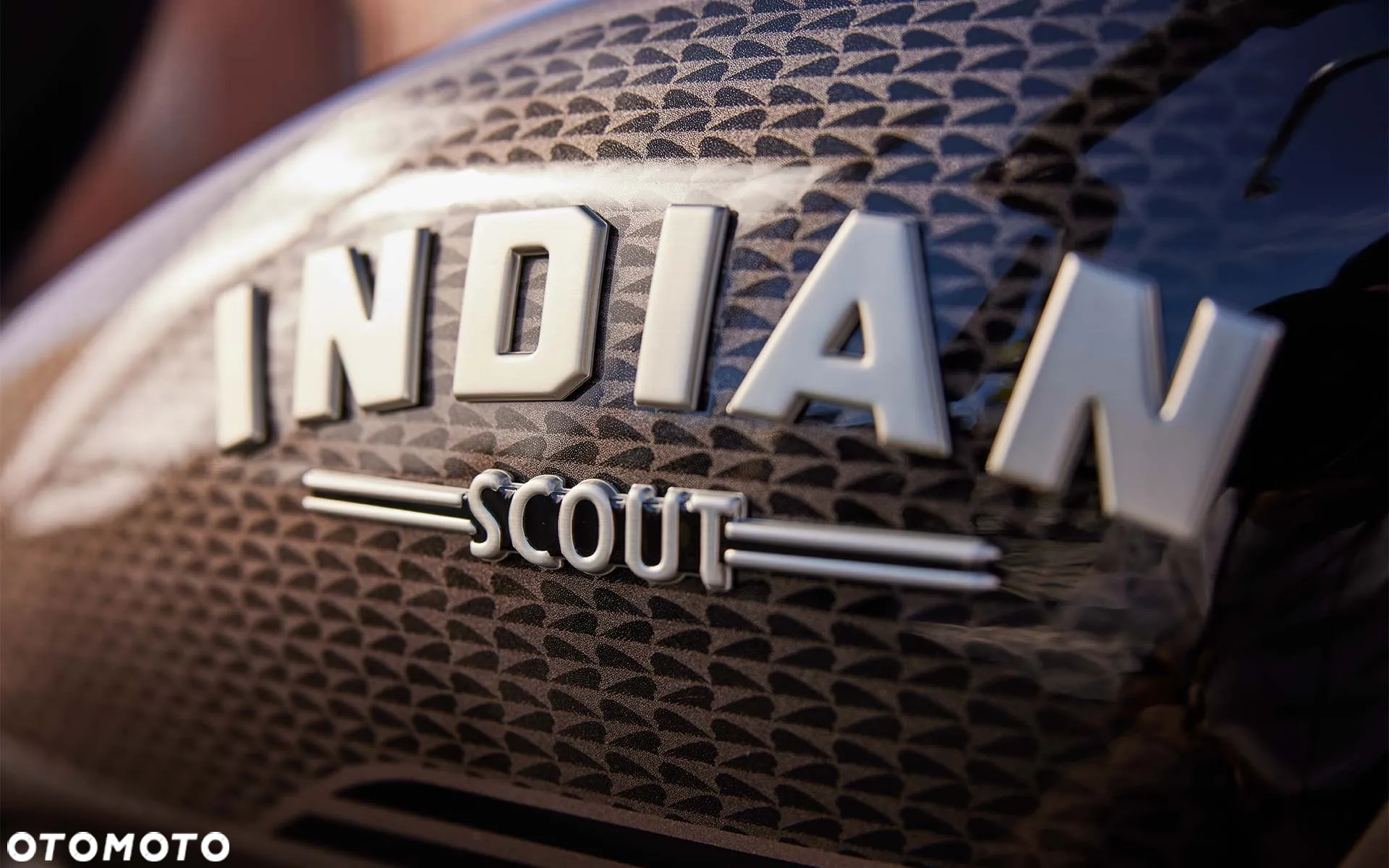 Indian Scout - 12