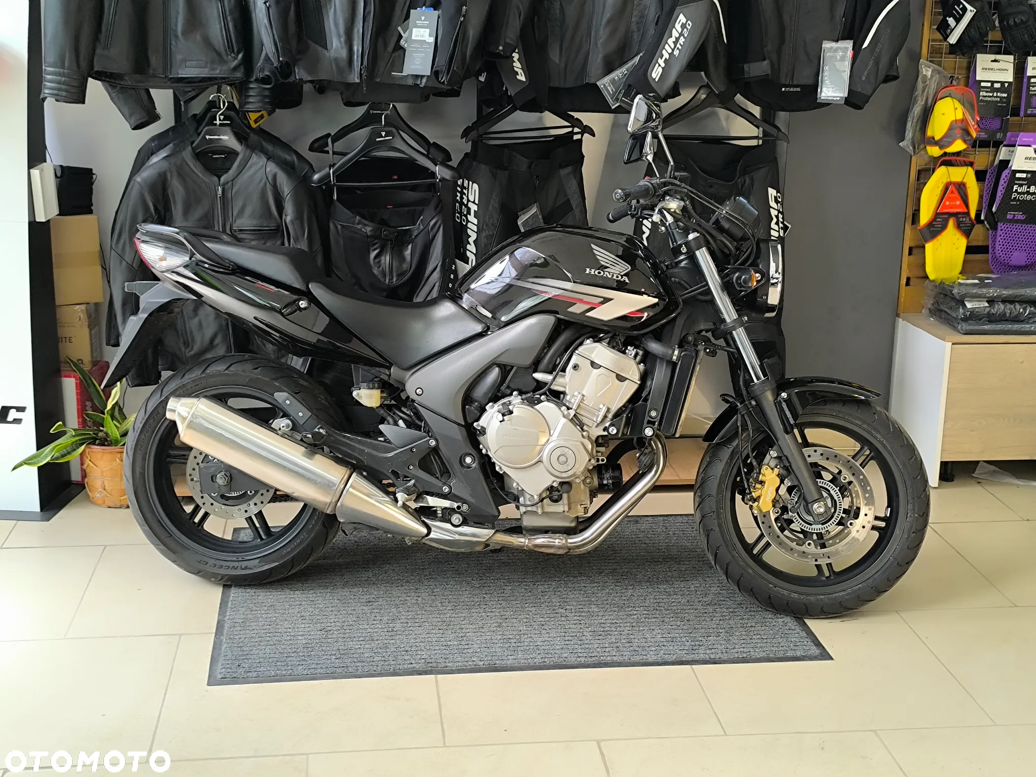 Honda CBF - 2