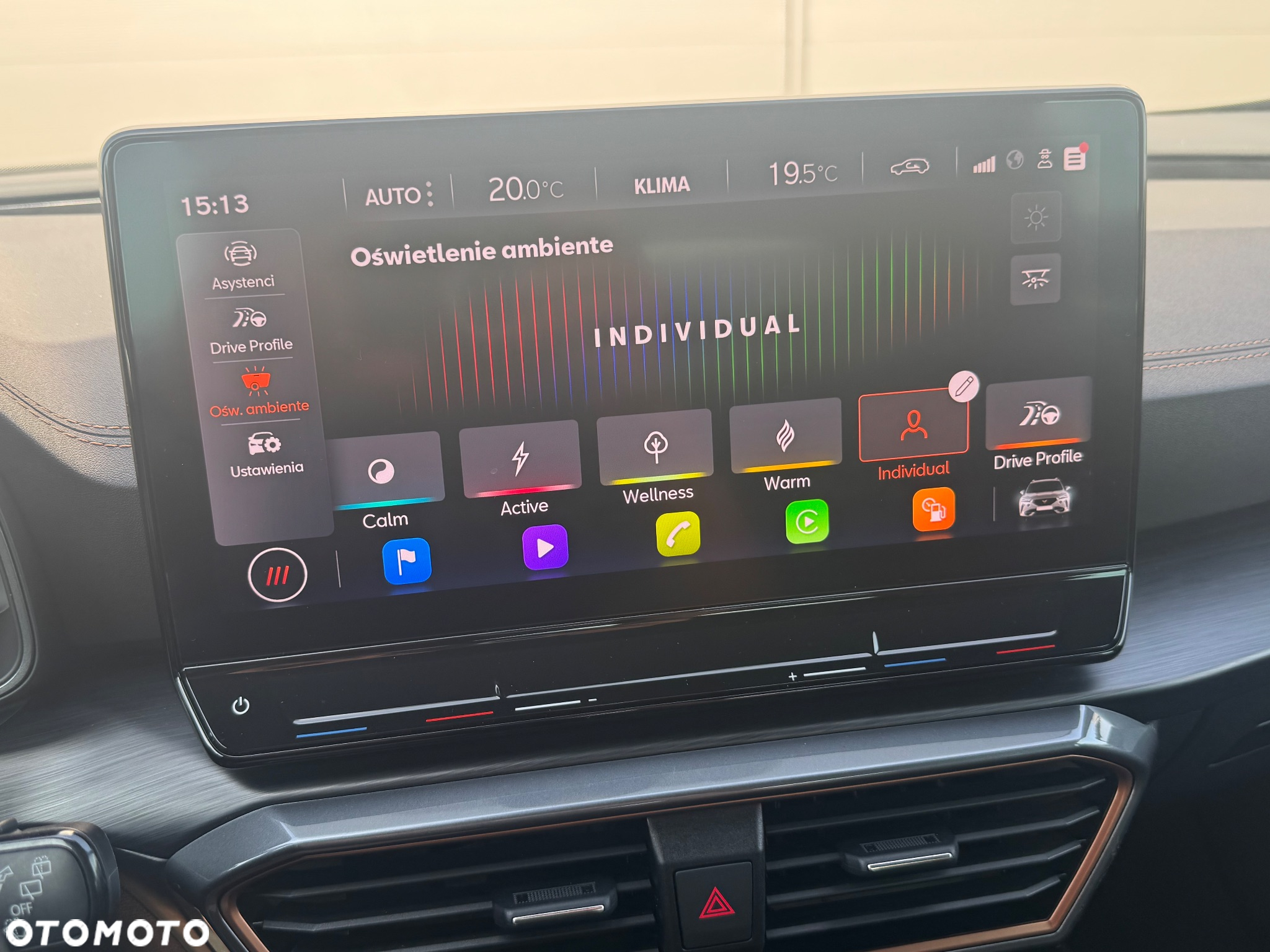Cupra Formentor 1.5 TSI DSG Tribe Edition - 25