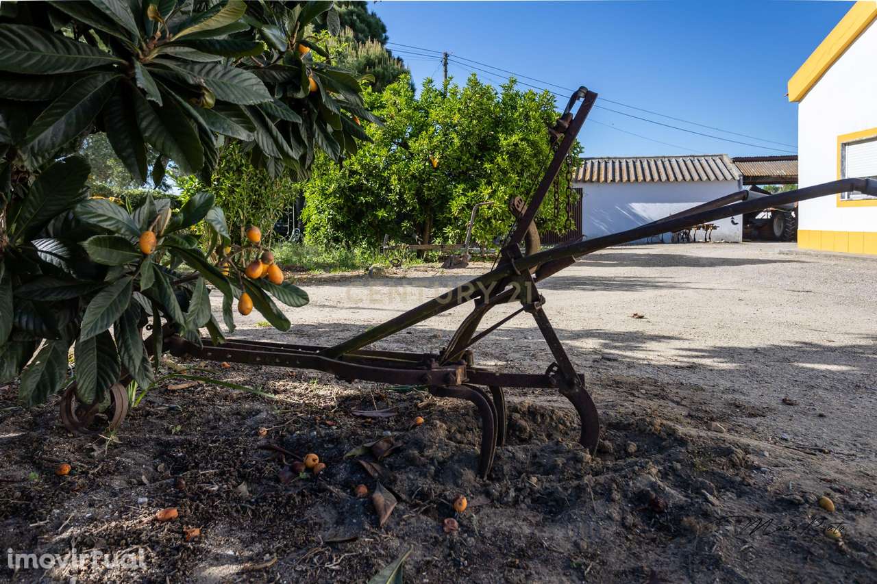 ** Quinta com Moradia T9 - Santo Isidro de Pegões - Montijo ** - Grande imagem: 5/26