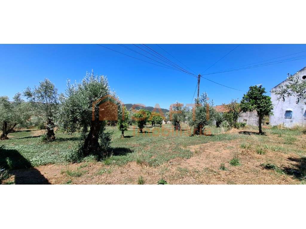 Casa para reabilitar c/ Terreno, Furo de Água em aldeia da freguesi... - Grande imagem: 5/11