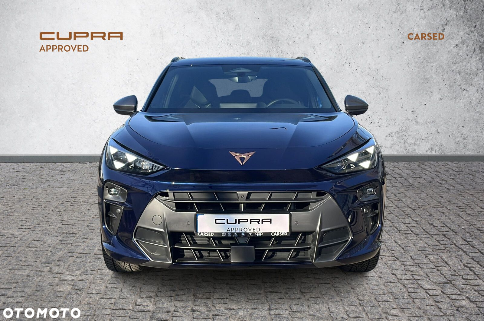 Cupra Terramar - 8