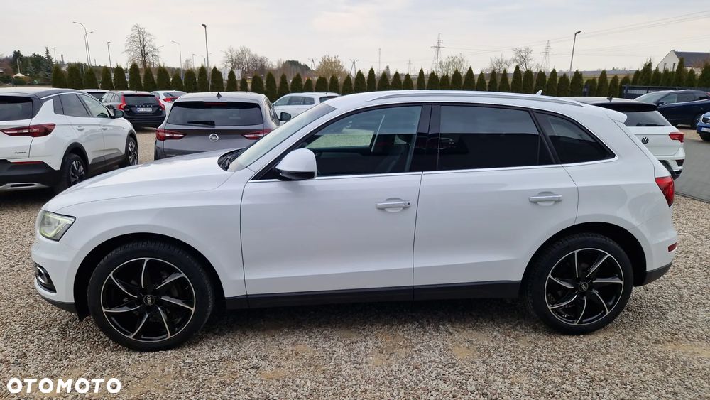 Audi Q5 2.0 TDI (clean diesel) ultra - 22