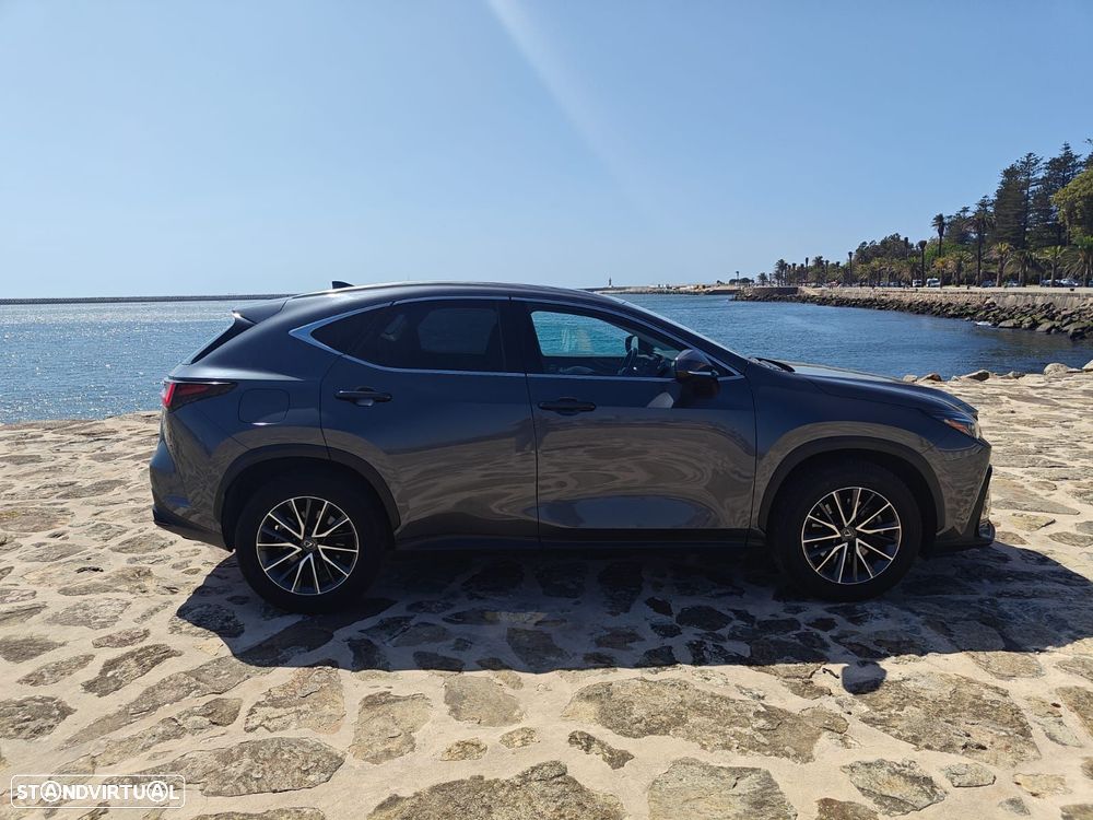Lexus NX 450h+ Executive - 9