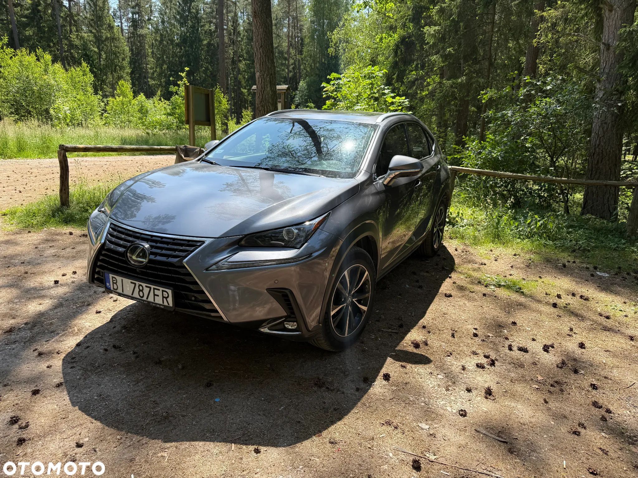 Lexus NX - 1
