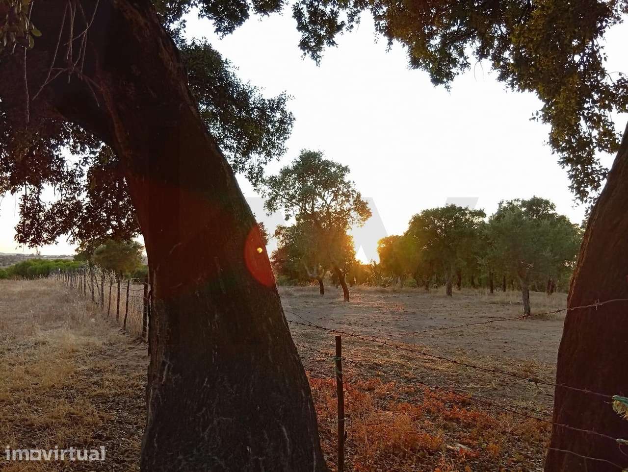 Terreno de 8 hectares em Ermidas do Sado, Santiago do Cacém - Grande imagem: 5/10