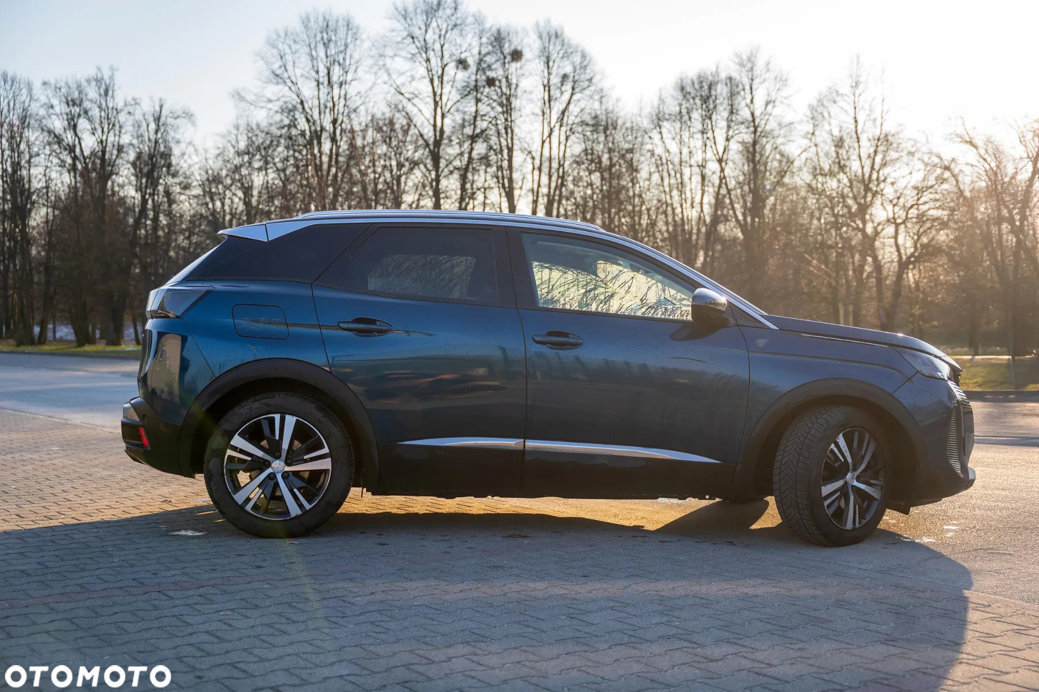 Peugeot 3008 - 17